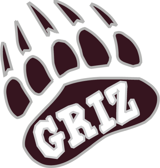 Montana Grizzlies 1996-Pres Alternate Logo v9 DIY iron on transfer (heat transfer)